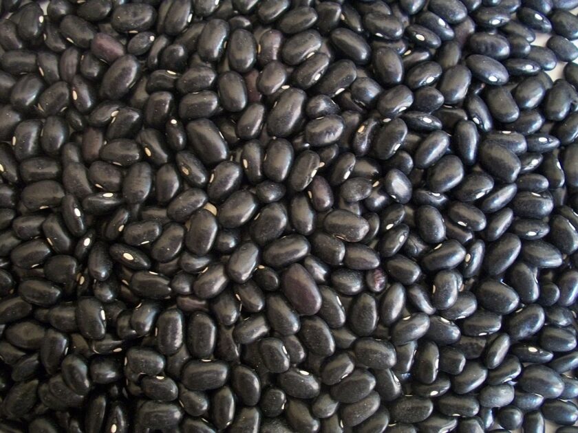 black beans, beans, dried